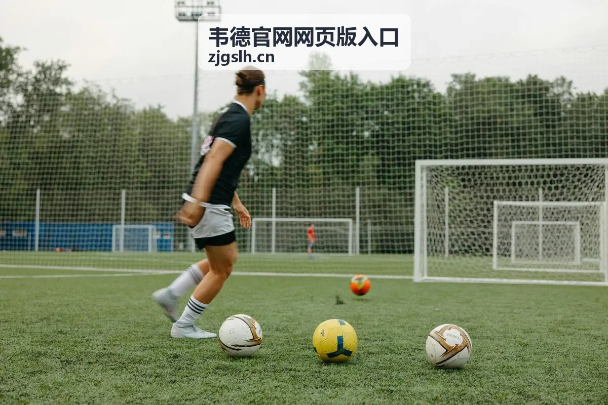 韦德官网网页版入口网络环境切换访问提示