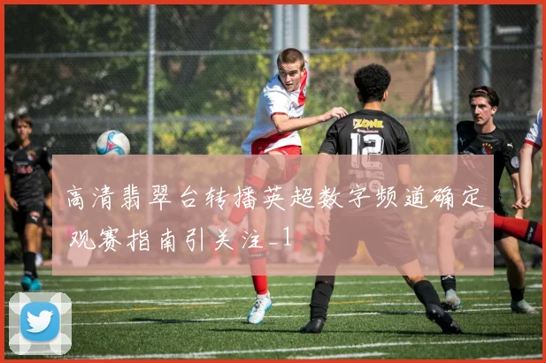 高清翡翠台转播英超数字频道确定 观赛指南引关注_1